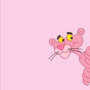 Meet your Posher, Han